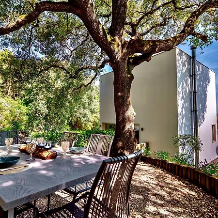 Oaktree Villa - Heated Big Pool-Quinta Da Bellavista Santarem Exterior photo