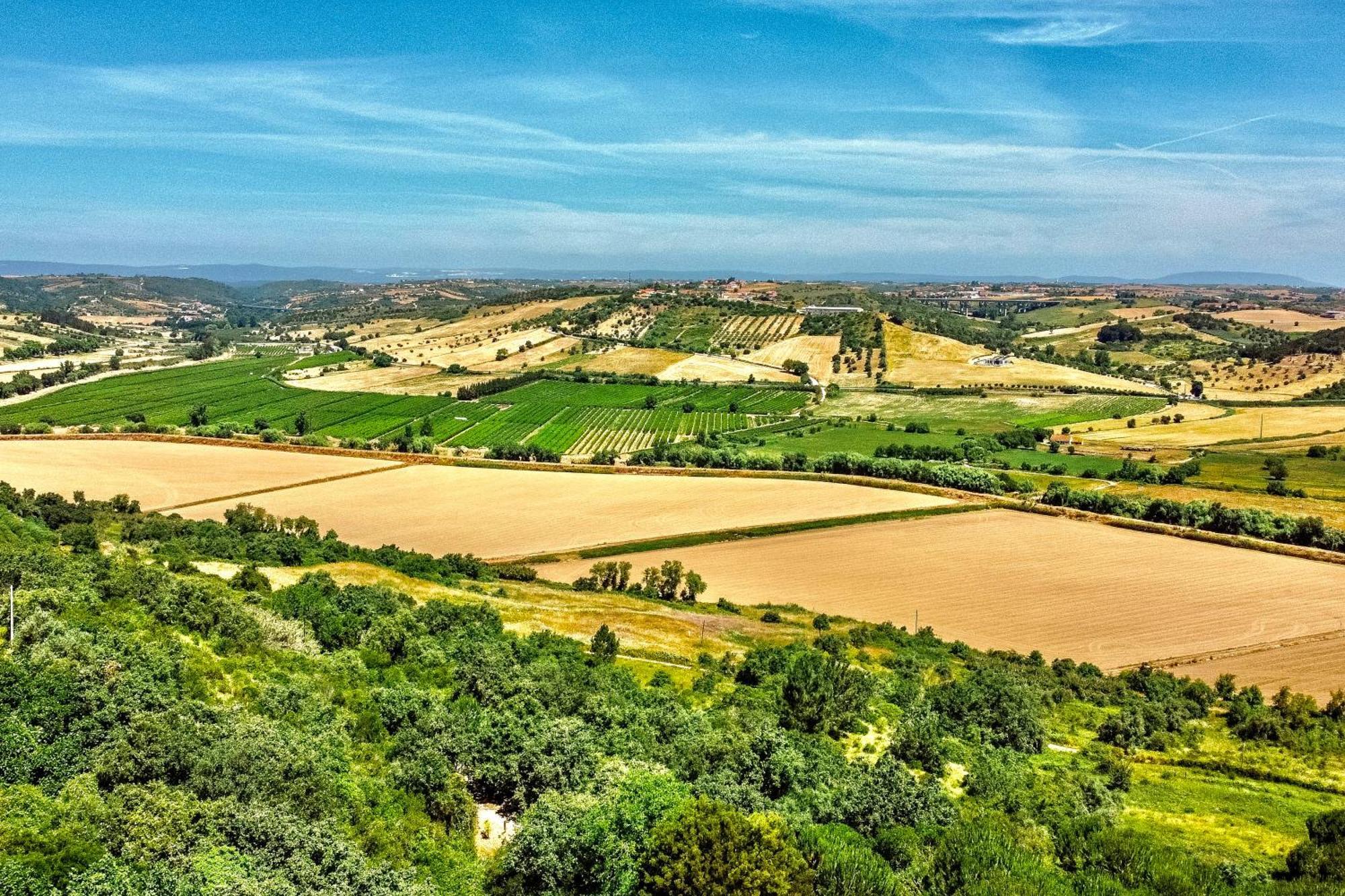 Oaktree - Heated Big Pool-quinta Da Bellavista Holiday home